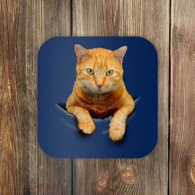 Coaster