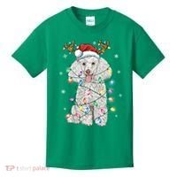 Poodle Christmas Reindeer Santa Hat Poodle Christmas Kids T-Shirt thumb 0