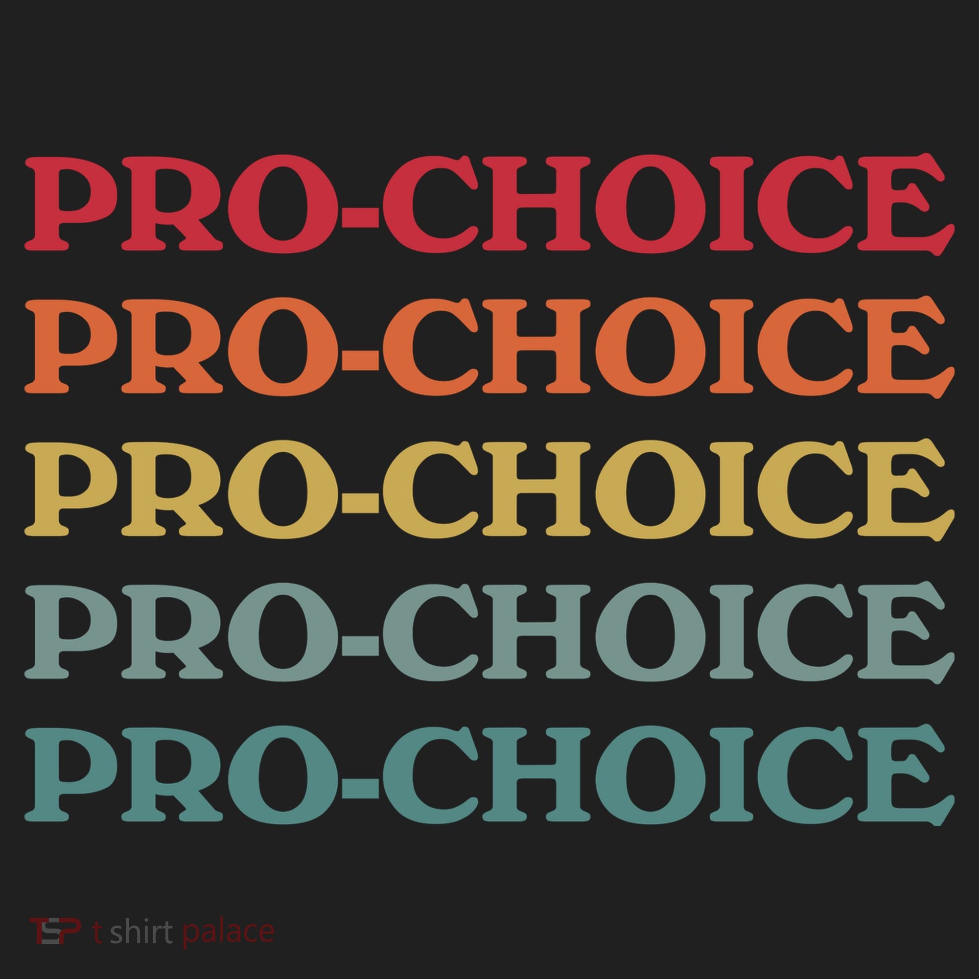 Pro Choice Retro Vintage Beanie