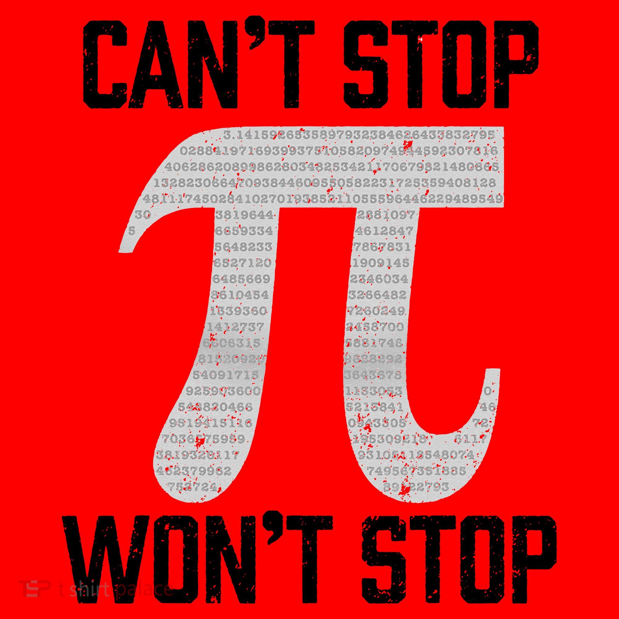 Pi Can't Stop Won't Stop Pi Day 3.14 Funny Math Geek Santa Hat