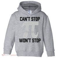 Pi Can't Stop Won't Stop Pi Day 3.14 Funny Math Geek Toddler Hoodie thumb 0