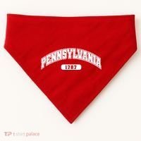Pennsylvania Collegiate Style 1787 USA-Made Doggie Bandana thumb 0
