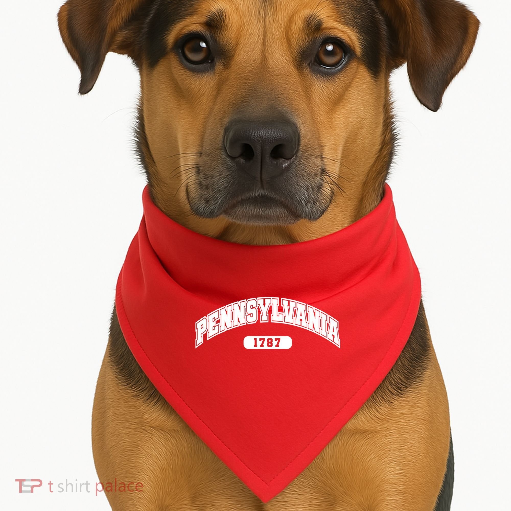Pennsylvania Collegiate Style 1787 USA-Made Doggie Bandana