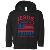 Patriotic Christian Support Graphic Toddler Hoodie thumb 0