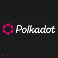 Polkadot Crypto To The Moon HODL DOT Blockchain Polkadot T-Shirt thumb 7