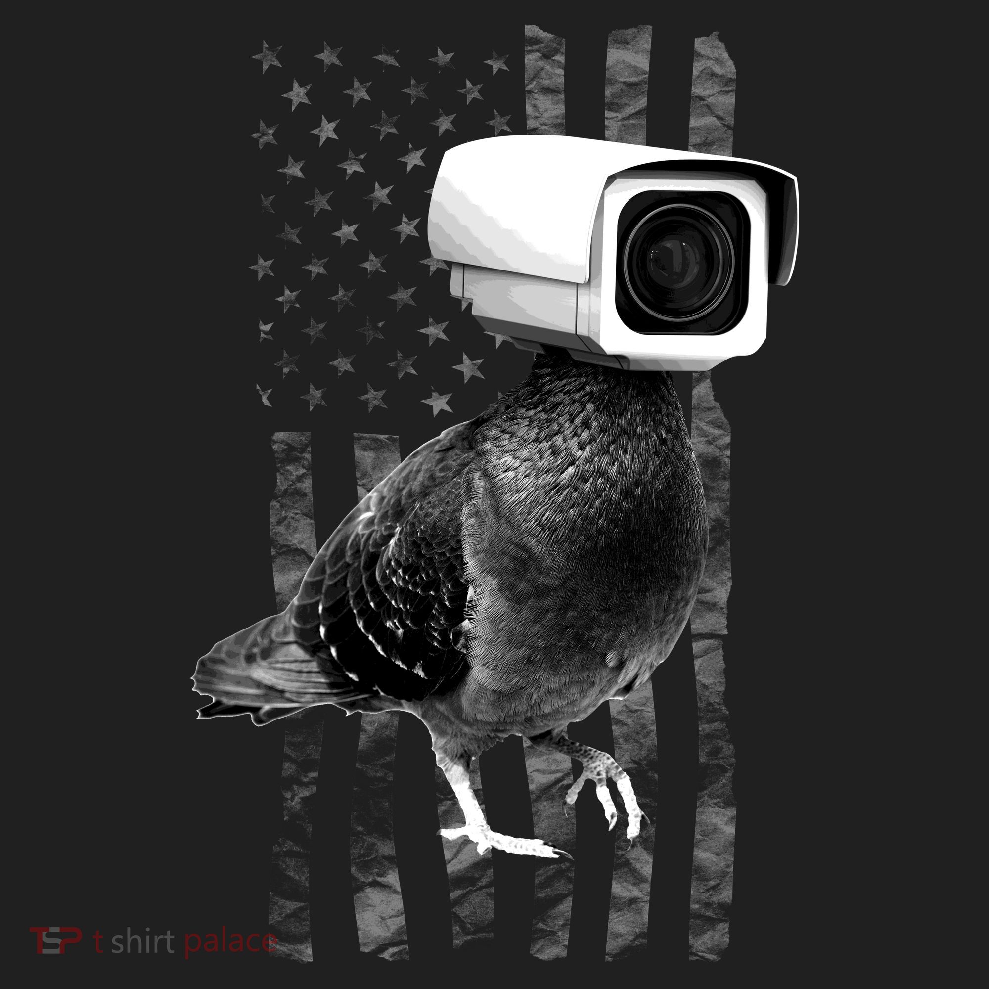 Pidgeon Camera USA Flag Women's Sweatshirt