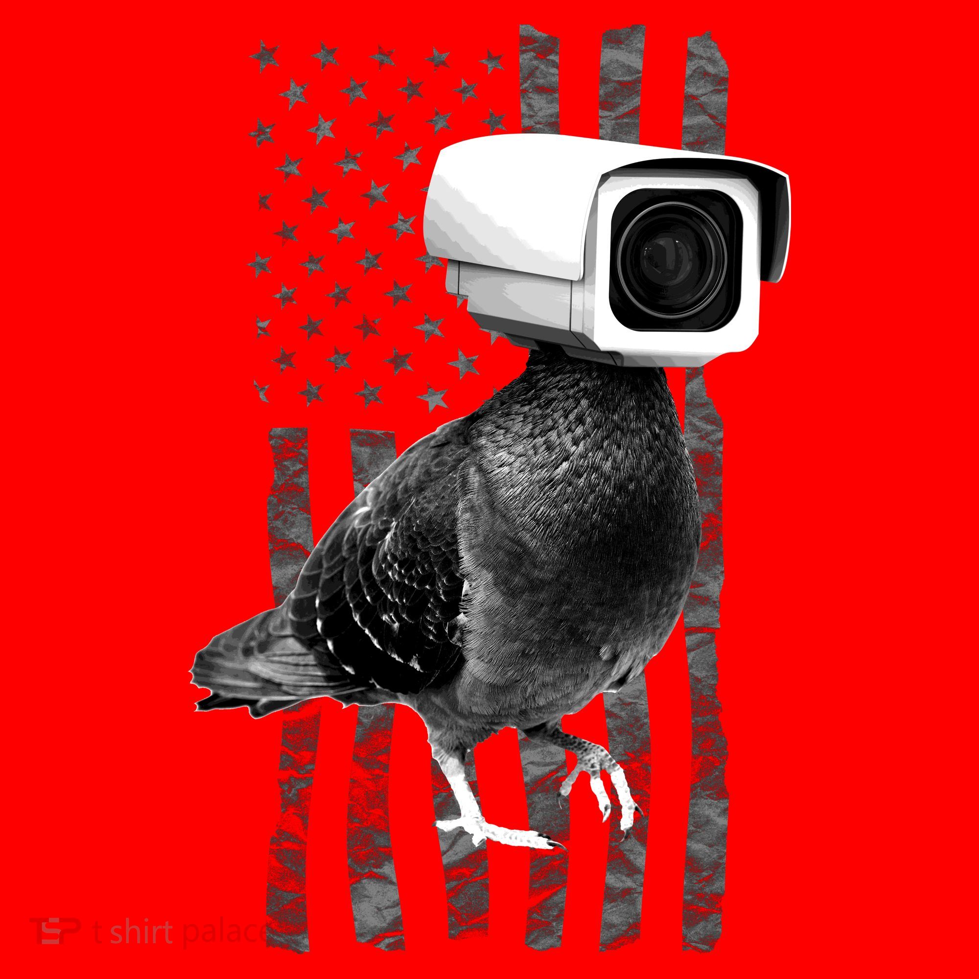 Pidgeon Camera USA Flag Santa Hat