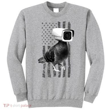 Pidgeon Camera USA Flag Sweatshirt