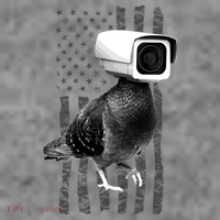 Pidgeon Camera USA Flag Toddler T-Shirt thumb 4