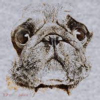 Pug Dog Animal Face Women's Sweatshirt thumb 2