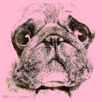 Pug Dog Animal Face Coaster thumb 2