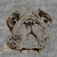 Pug Dog Animal Face Toddler Hoodie thumb 2
