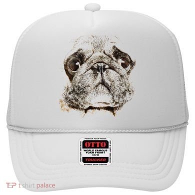 Pug Dog Animal Face Hat