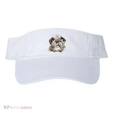 Visor