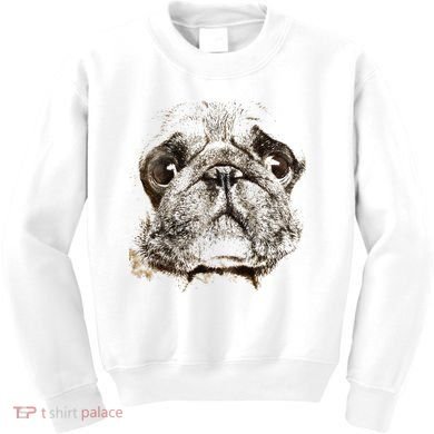 Pug Dog Animal Face Kids Sweatshirt