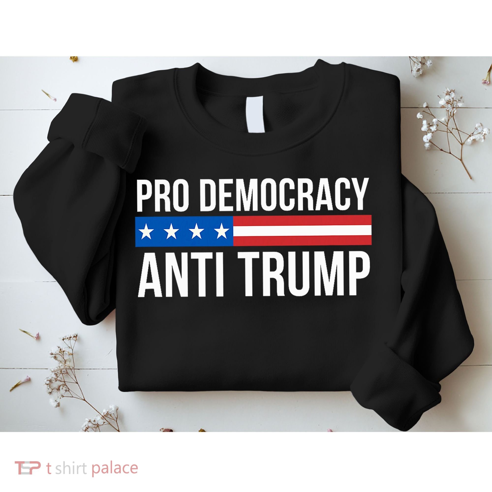 Pro Democracy Anti Trump Sweatshirt