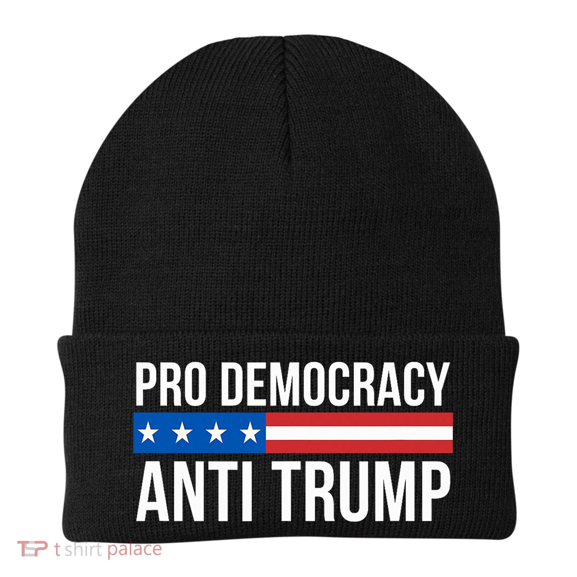 Pro Democracy Anti Trump Beanie
