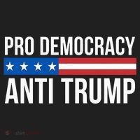 Pro Democracy Anti Trump Hat thumb 2