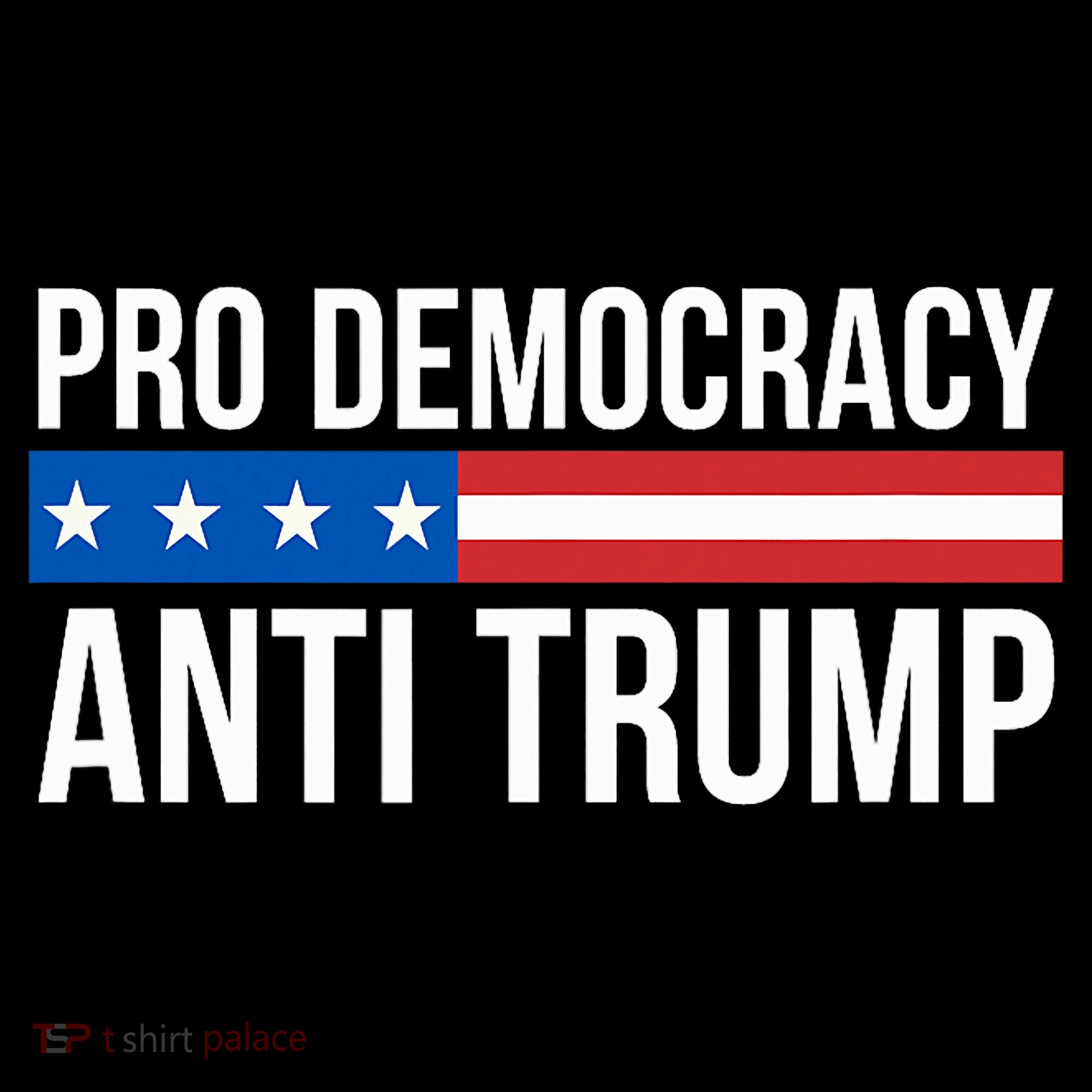 Pro Democracy Anti Trump Women's T-Shirt