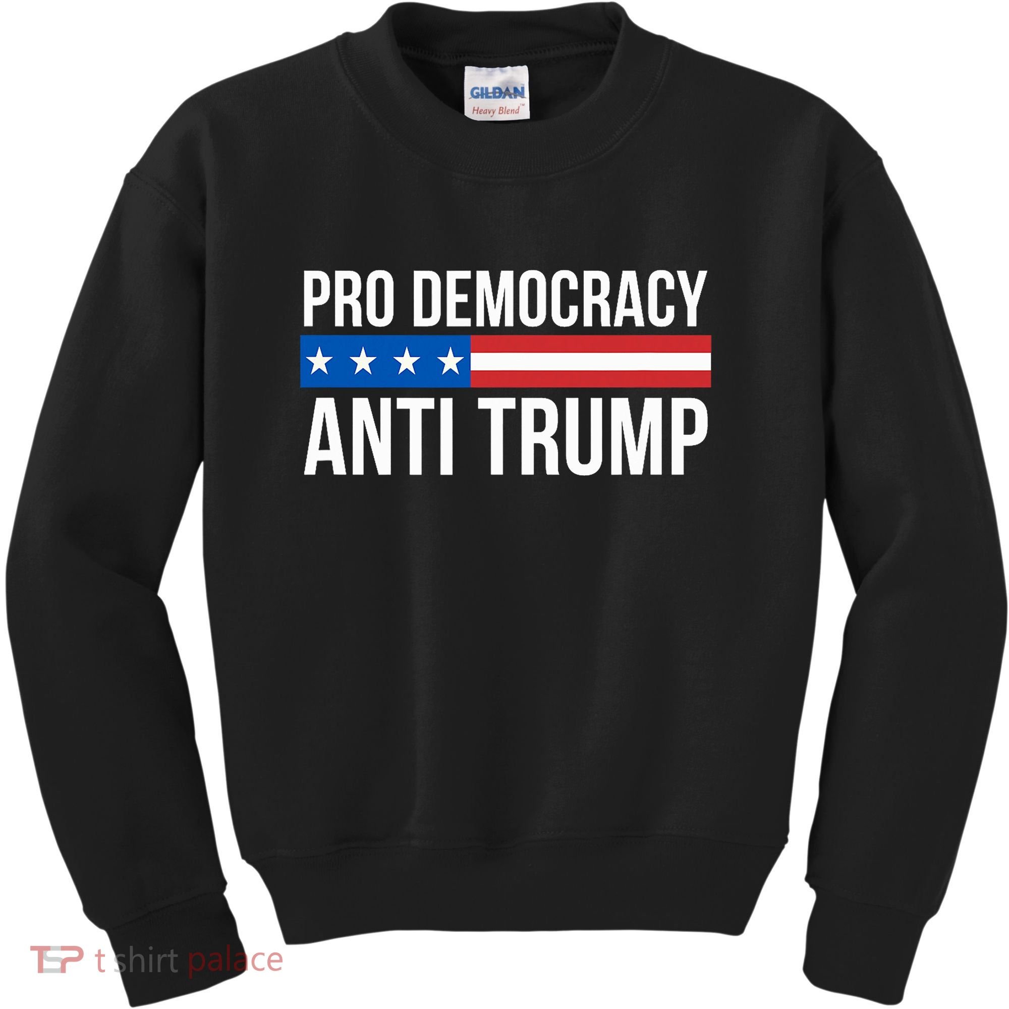 Pro Democracy Anti Trump Kids Sweatshirt