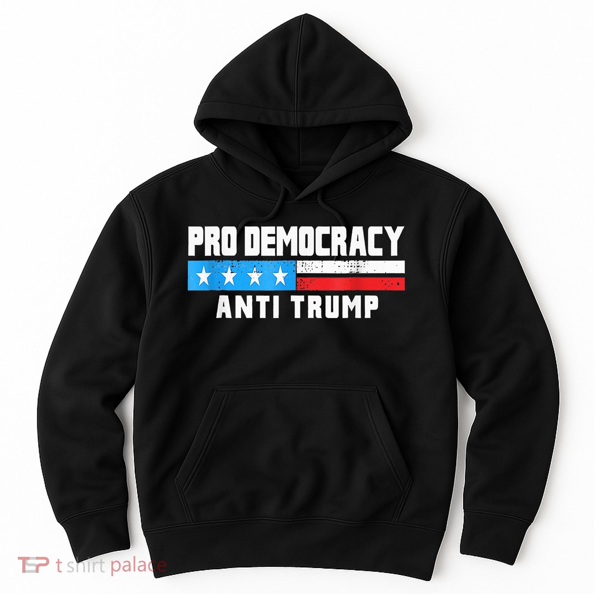 Pro Democracy Anti Trump Hoodie