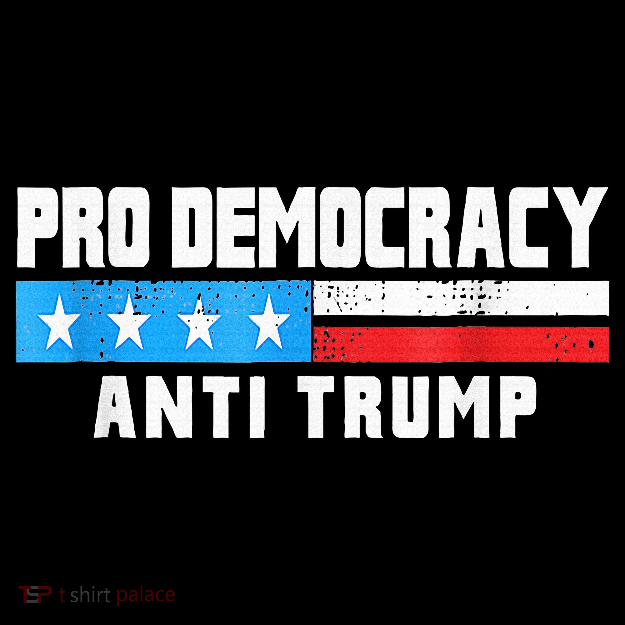 Pro Democracy Anti Trump Hoodie