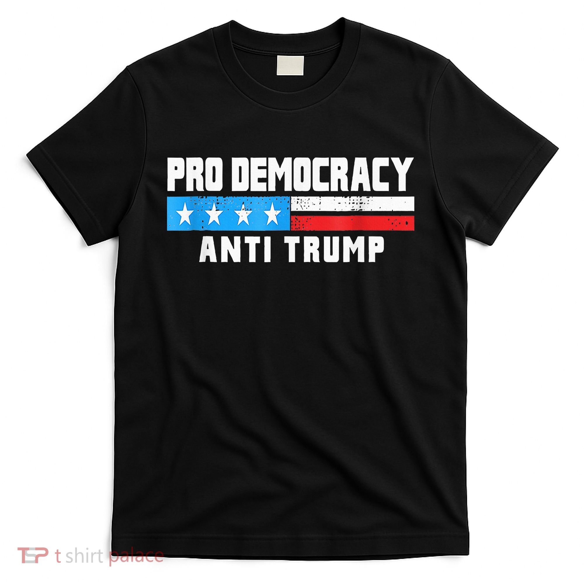 Pro Democracy Anti Trump T-Shirt