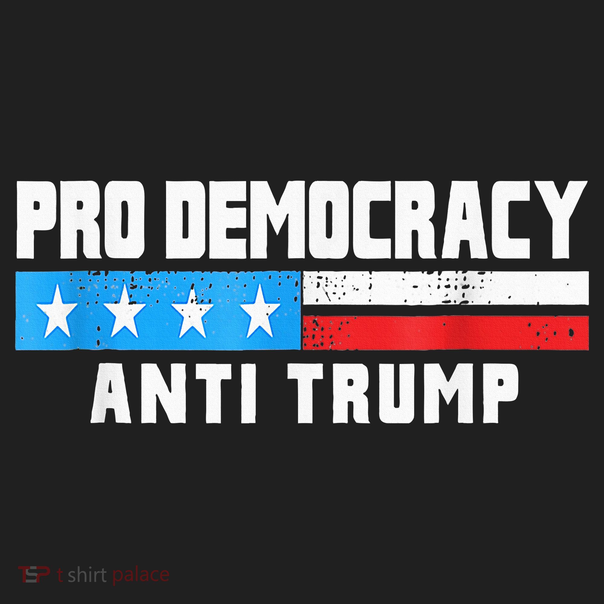 Pro Democracy Anti Trump Beanie