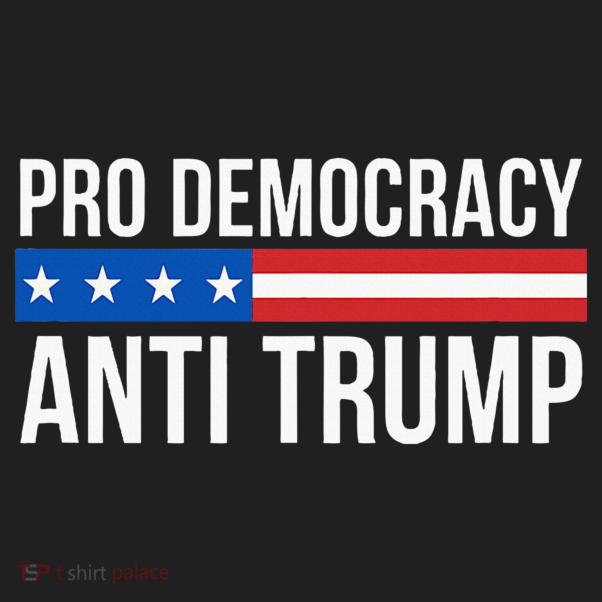 Pro Democracy Anti Trump Beanie