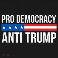 Pro Democracy Anti Trump Performance Fleece Hoodie thumb 2
