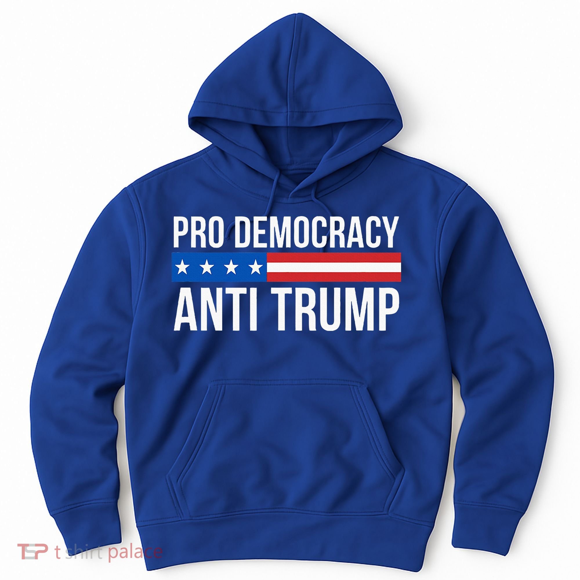 Pro Democracy Anti Trump Hoodie