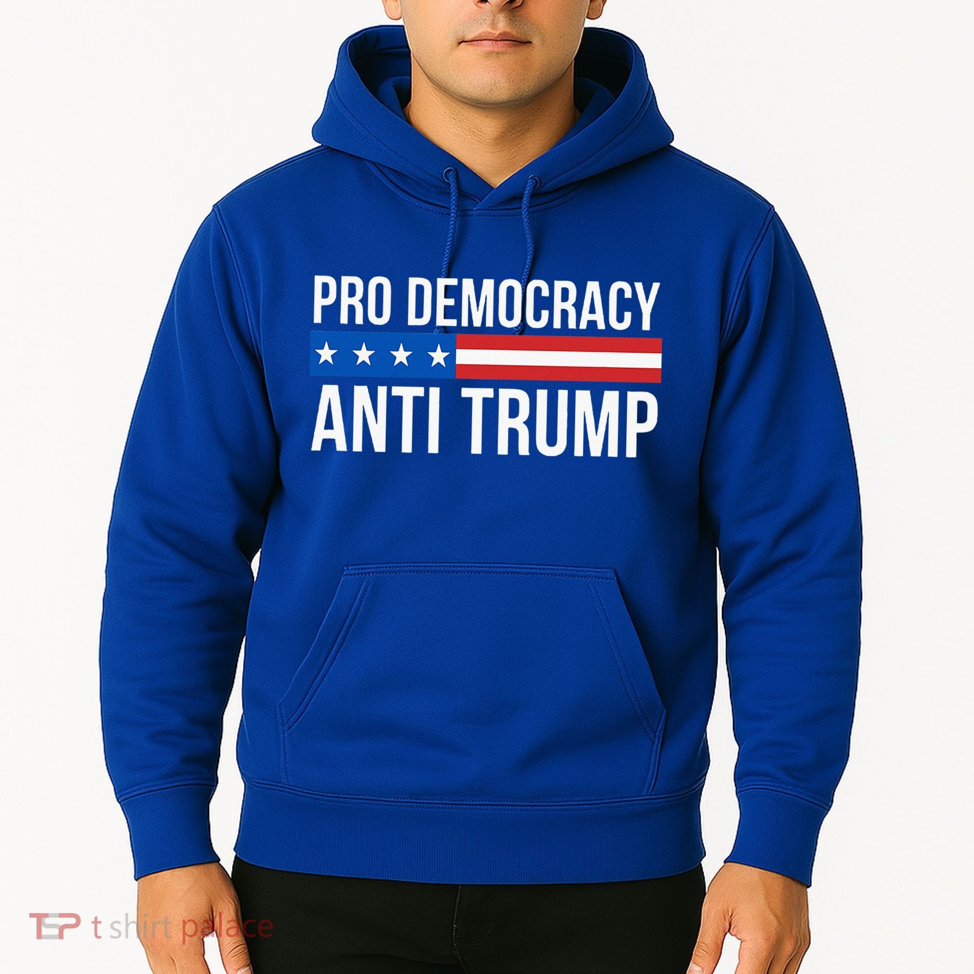 Pro Democracy Anti Trump Hoodie