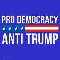 Pro Democracy Anti Trump Hoodie thumb 7