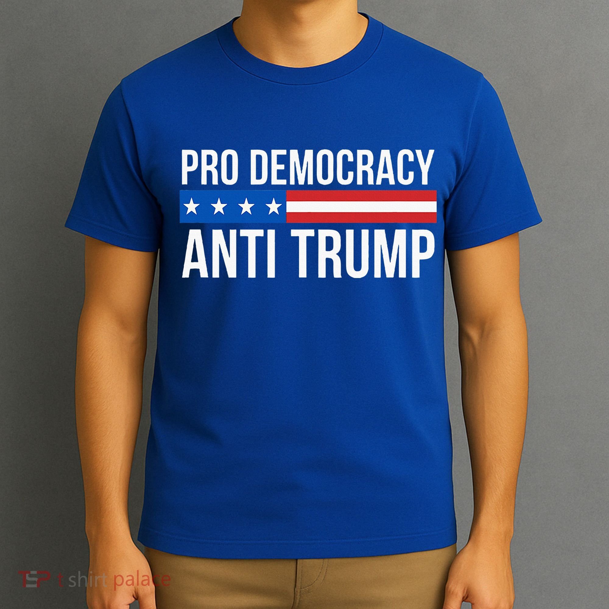 Pro Democracy Anti Trump T-Shirt