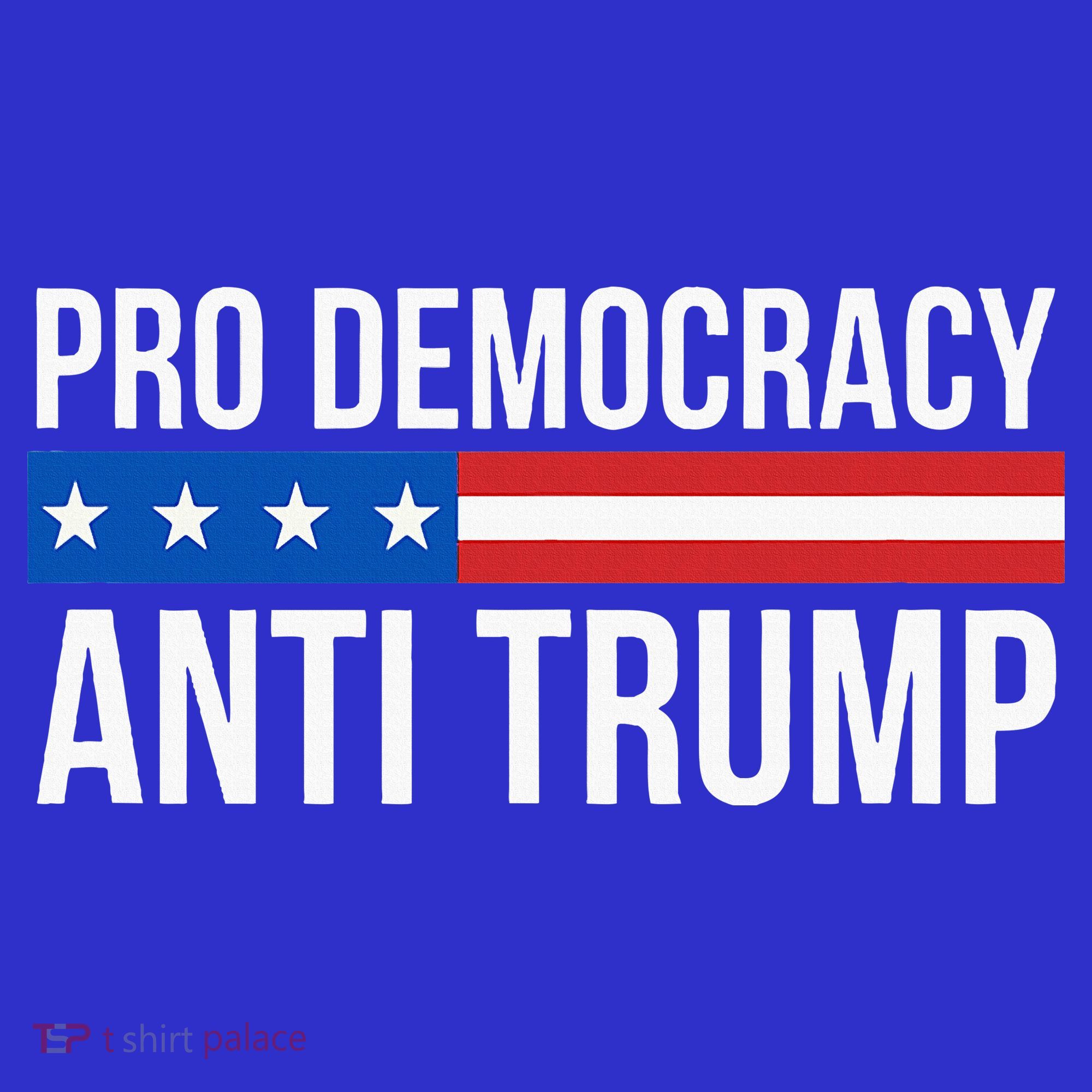Pro Democracy Anti Trump Kids Sweatshirt