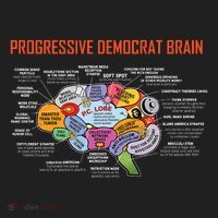 Progressive Democrat Brain Diagram Funny Women's Sweatshirt thumb 2