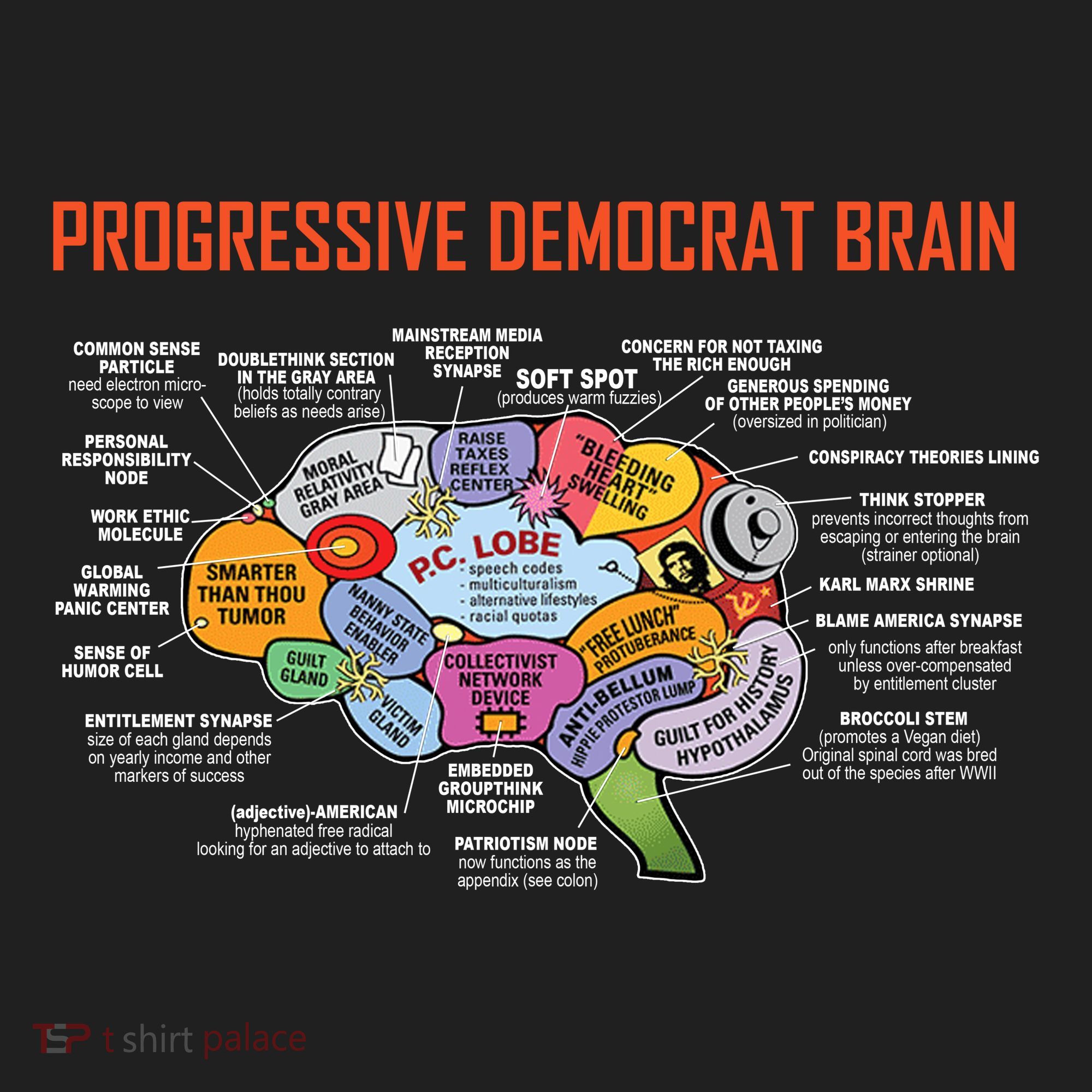 Progressive Democrat Brain Diagram Funny Women's Sweatshirt