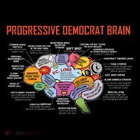 Progressive Democrat Brain Diagram Funny Coaster thumb 2