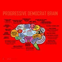 Progressive Democrat Brain Diagram Funny Santa Hat thumb 1