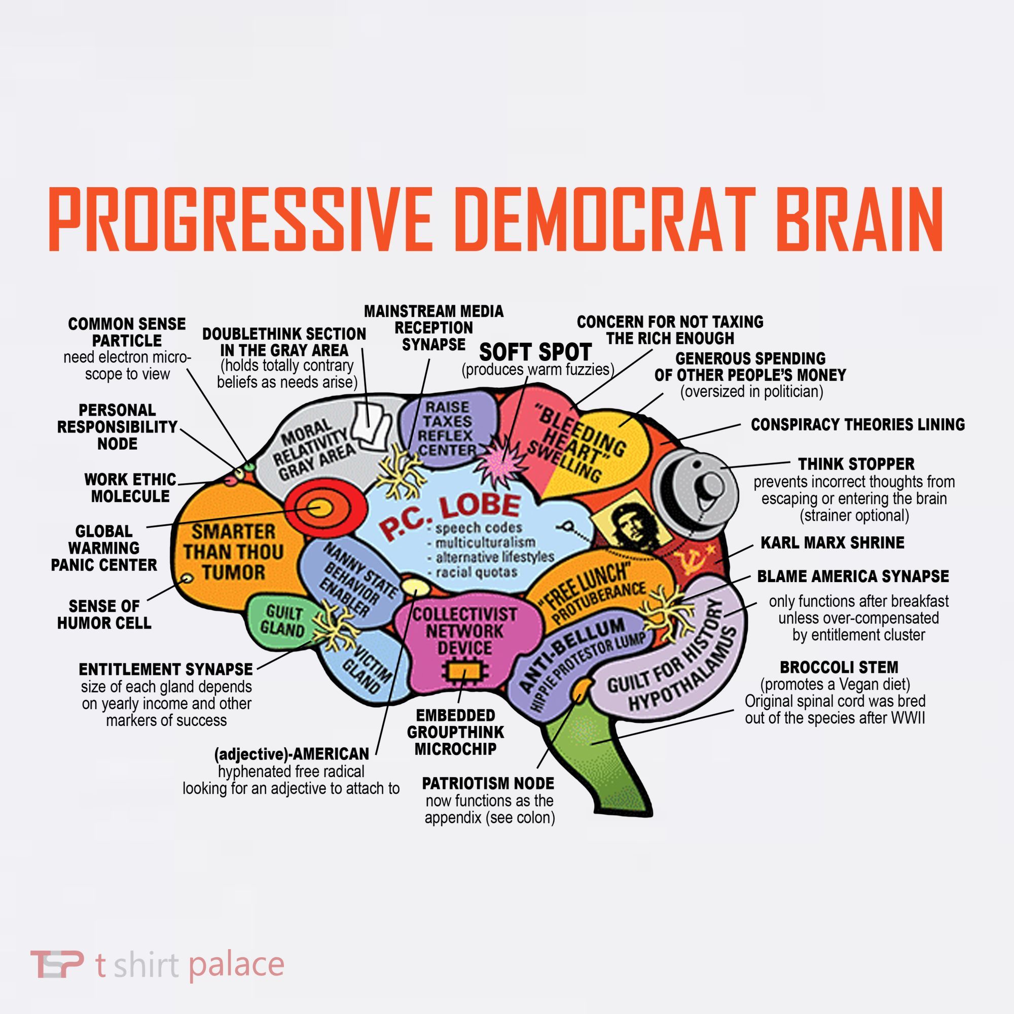 Progressive Democrat Brain Diagram Funny Women's Tank Top