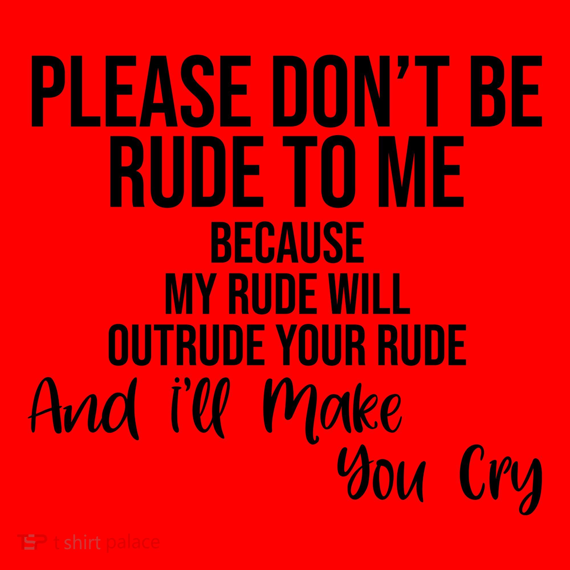 Please Dont Be Rude To Me Ill Make You Cry Funny Santa Hat