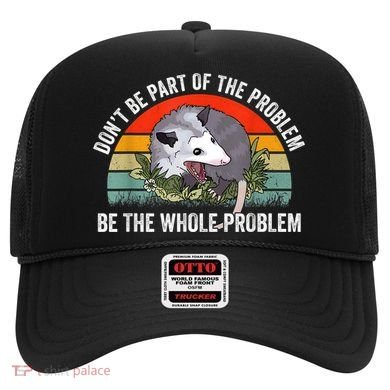 Possum Don't Be Part Of The Problem Be The Whole Problem Hat