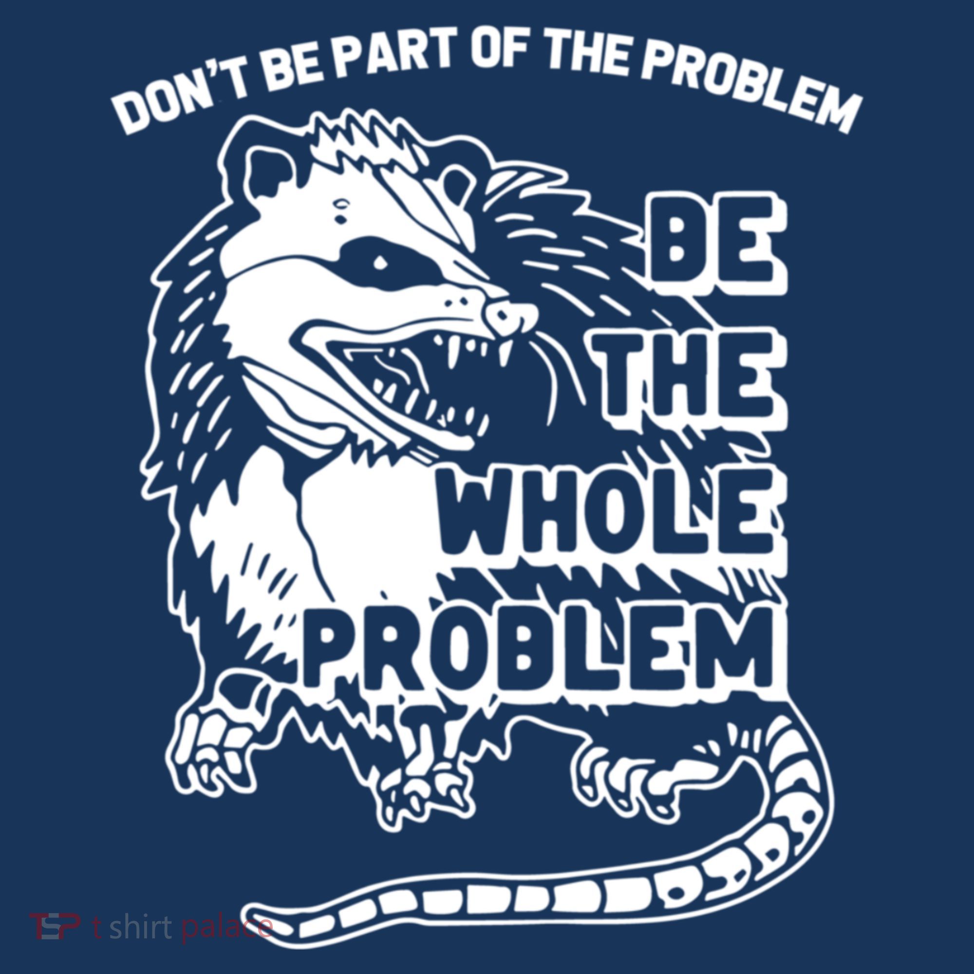 Possum Don't Be Part Of The Problem Be The Entire Problem Funny Opossum Bucket Hat