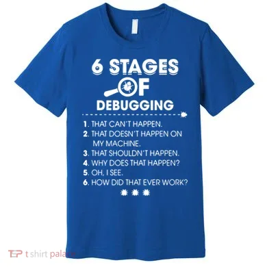 Programmer Debugging Coder Gift Premium T-Shirt