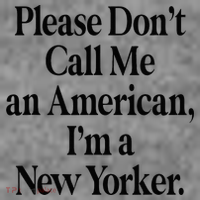 Please DonT Call Me An American IM A New Yorker Toddler Hoodie thumb 2