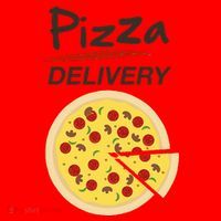 Pizza Delivery Costume Funny Fancy Dress Costumes Santa Hat thumb 1
