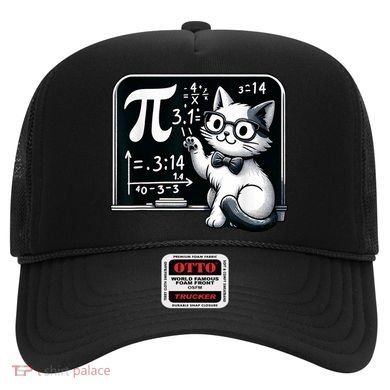 Pi Day Cat Hat