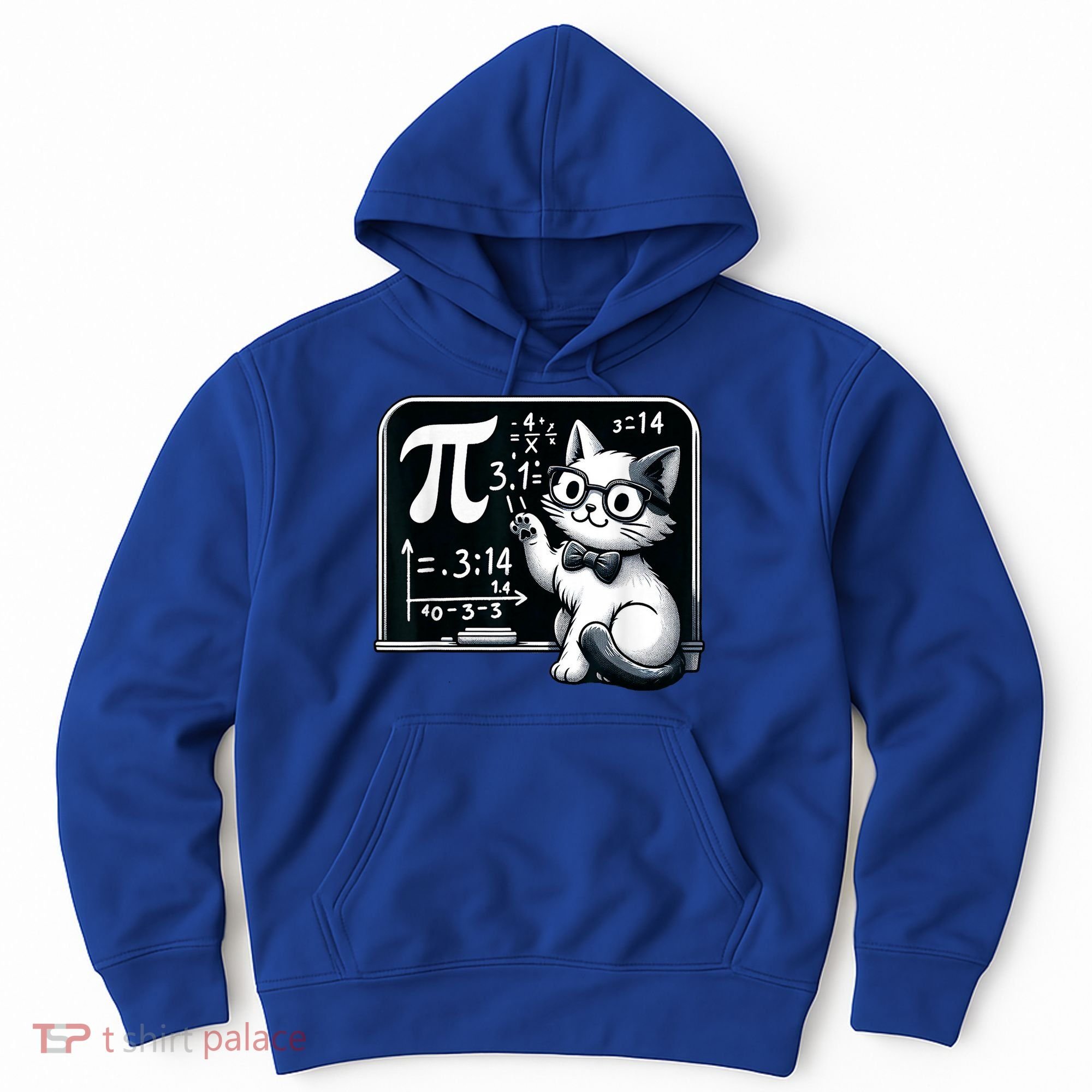 Pi Day Cat Hoodie