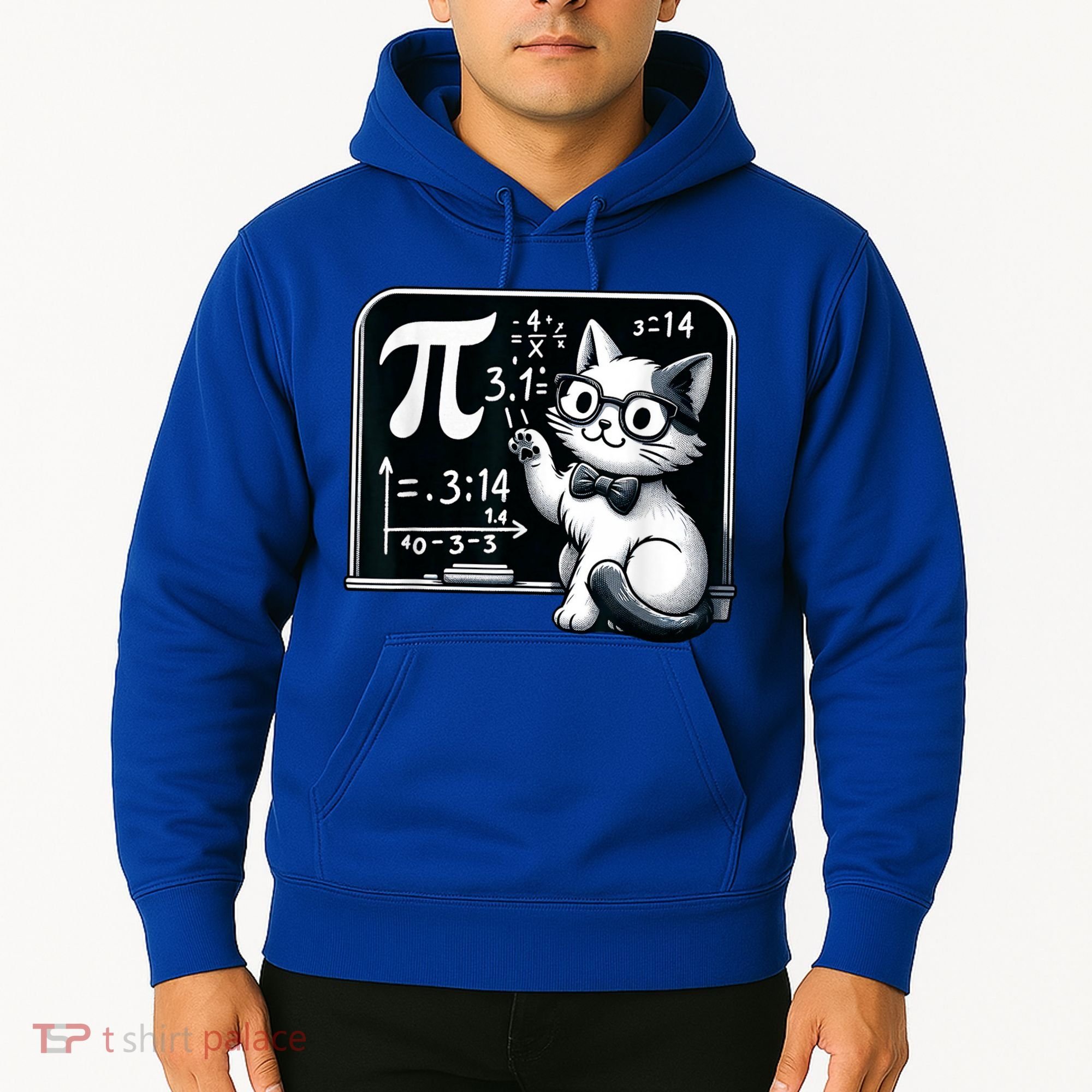Pi Day Cat Hoodie