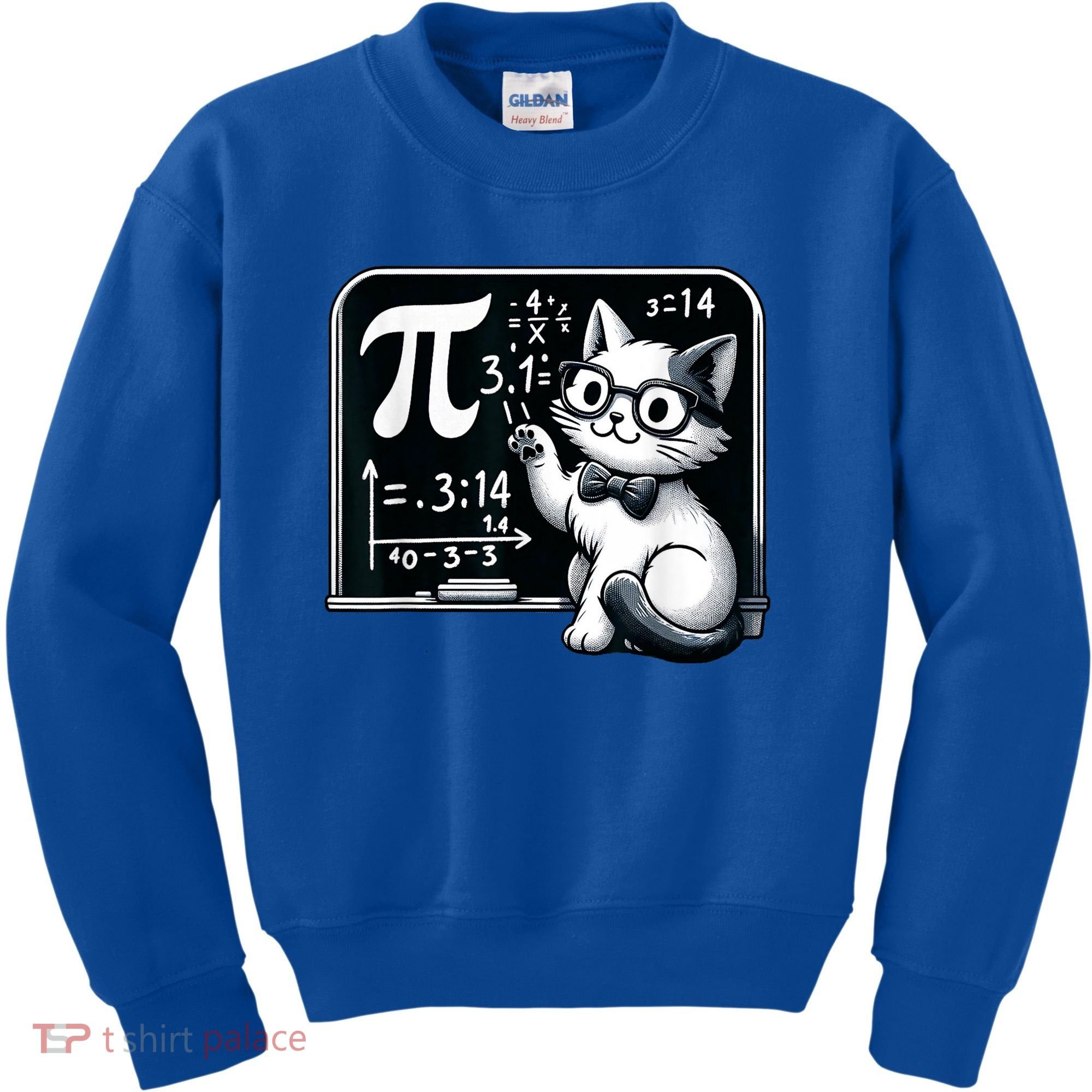 Pi Day Cat Kids Sweatshirt